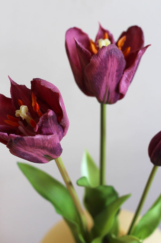 Nep tulpen